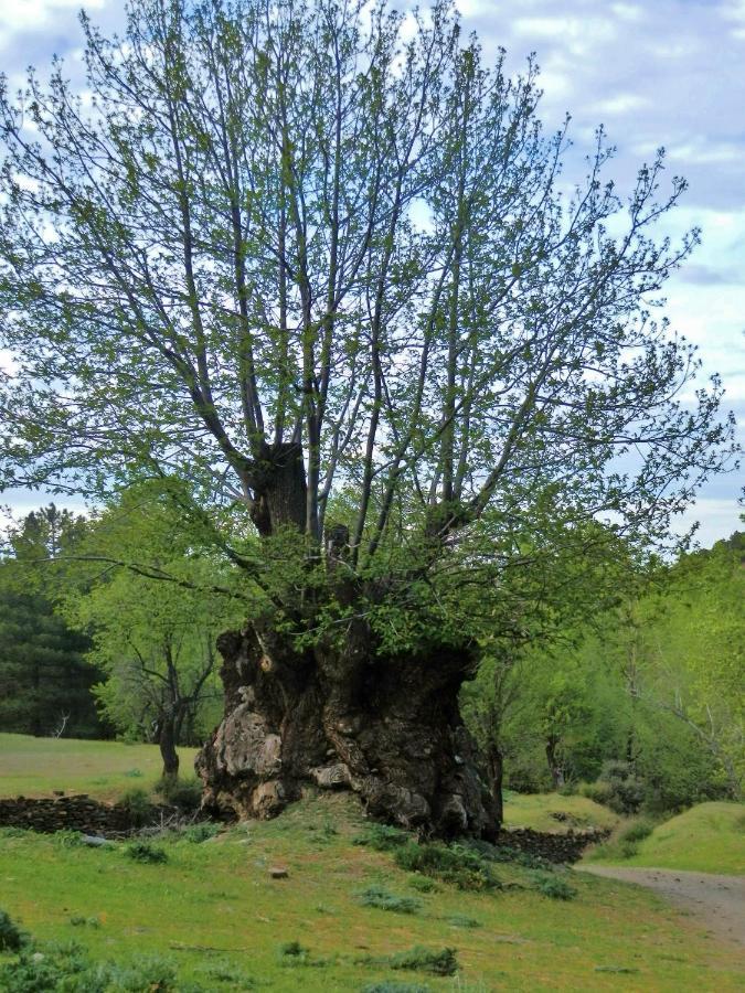 Labella - Hostal Rural Restaurante La Calahorra Dış mekan fotoğraf